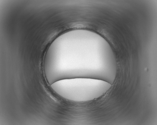 X0000066930159200603240918