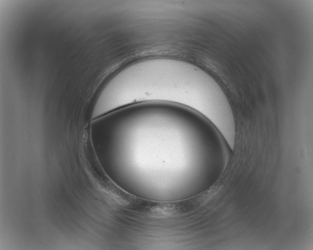 X0000066930164200603240918