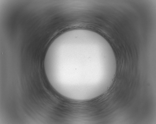 X0000066930168200603240918