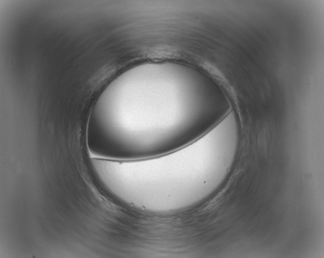X0000066930201200603240917