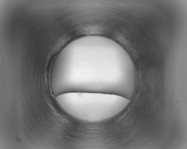 X0000066930202200603240917