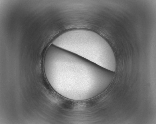 X0000066930206200603240917