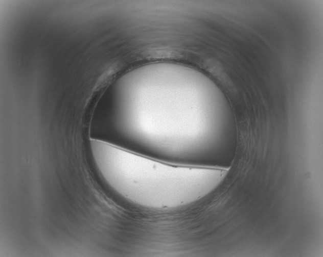 X0000066930207200603240917