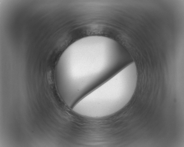 X0000066930224200603240917