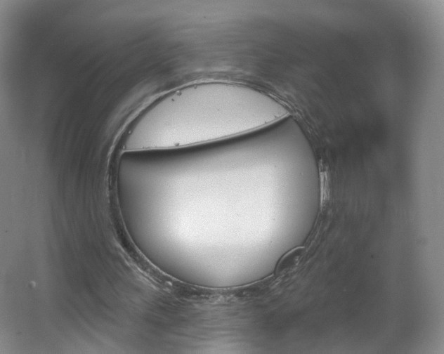 X0000066930243200603240916