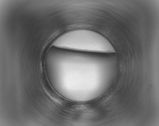 X0000066930254200603240916