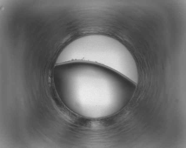 X0000066930264200603240916
