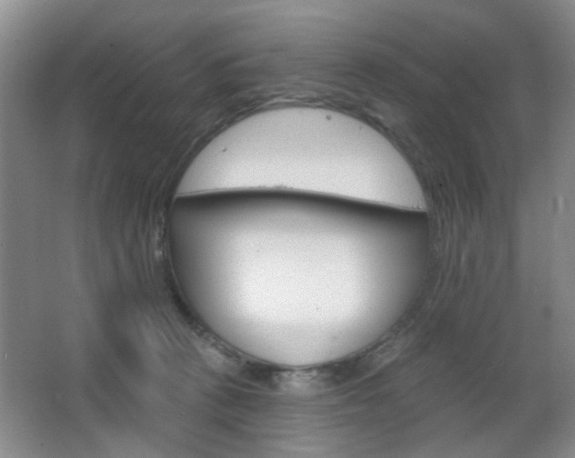 X0000066930273200603240916