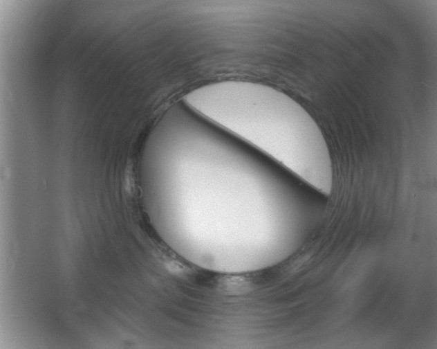 X0000066930287200603240917
