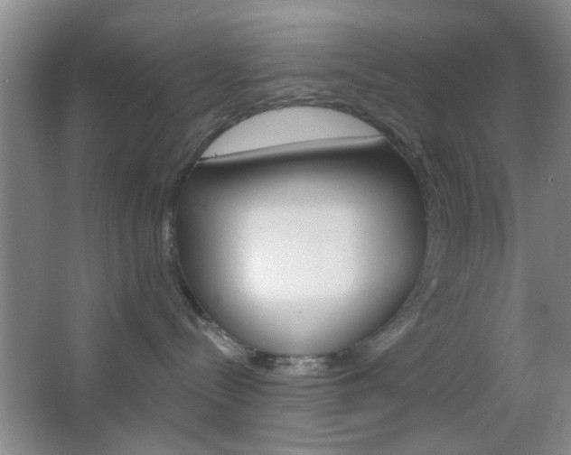X0000066930288200603240917