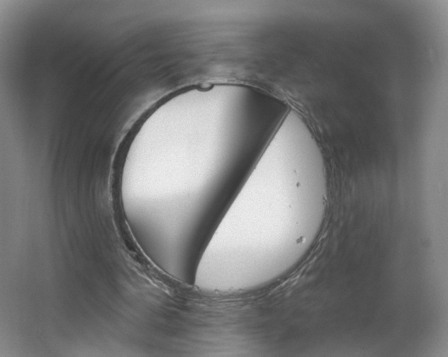 X0000066930292200603240916