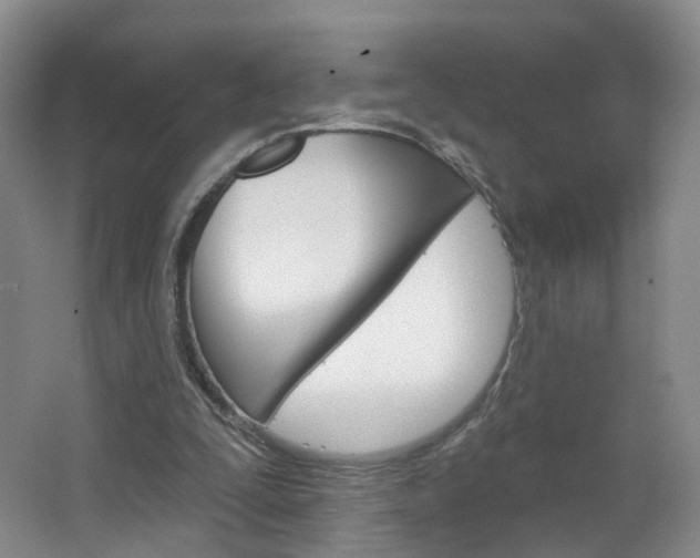 X0000066930295200603240916