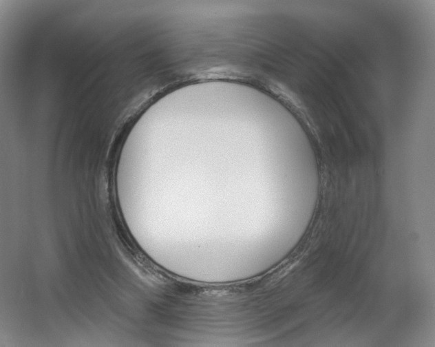 X0000066930298200603240916