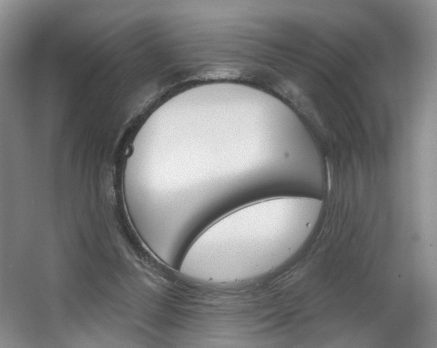 X0000066930300200603240916