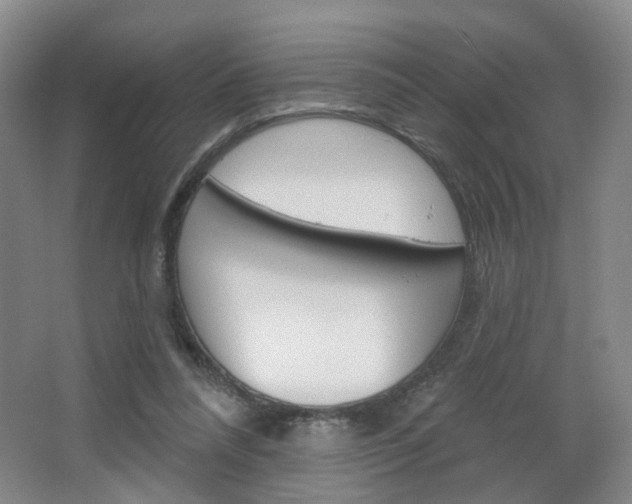 X0000066930304200603240915
