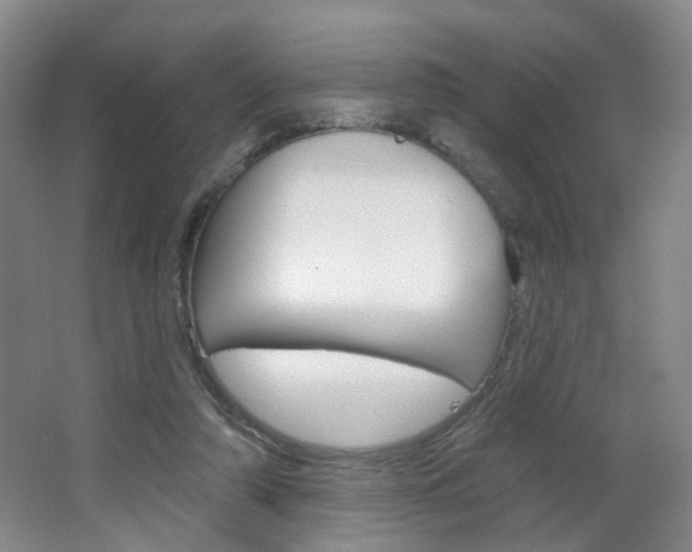 X0000066930306200603240915