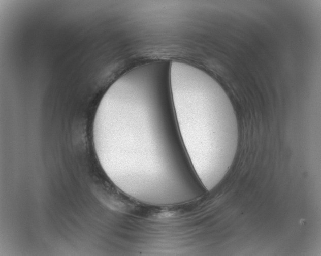 X0000066930312200603240915