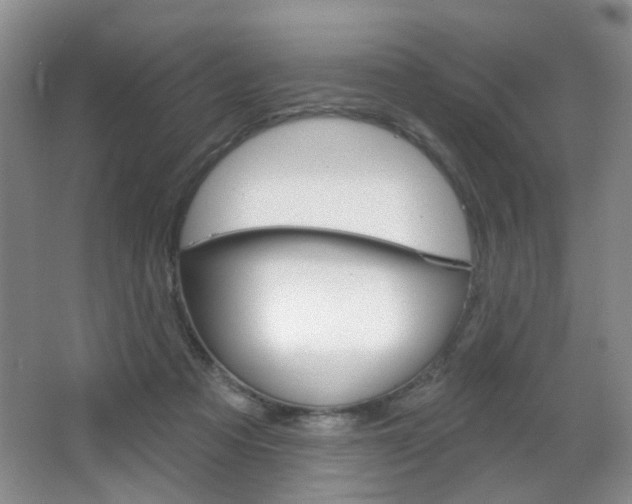X0000066930313200603240915