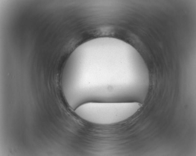 X0000066930326200603240915
