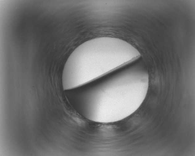 X0000066930332200603240915