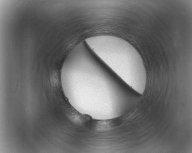 X0000066930335200603240915