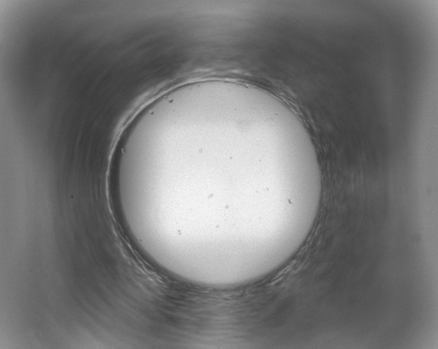 X0000066930340200603240914