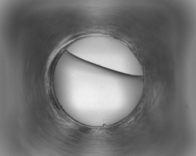 X0000066930343200603240914