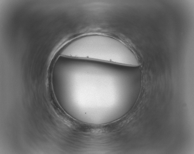 X0000066930344200603240914