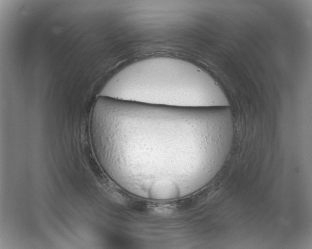 X0000066930359200603240915