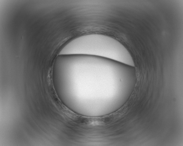 X0000066930360200603240915