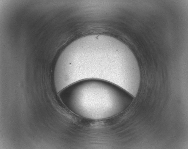 X0000066930362200603240915
