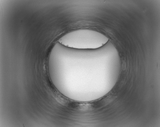 X0000066930363200603240915