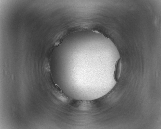 X0000066930384200603240915