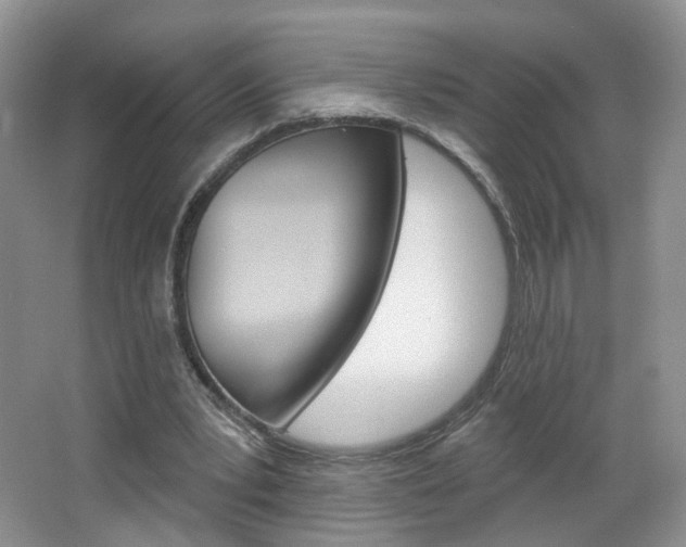 X0000066930391200603240914