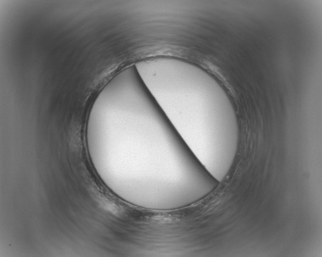 X0000066930394200603240914