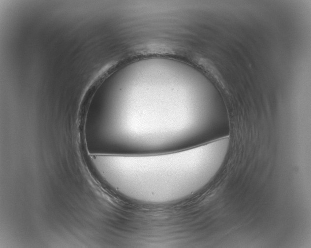 X0000066930395200603240914