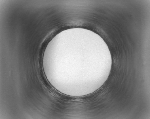 X0000066930396200603240914