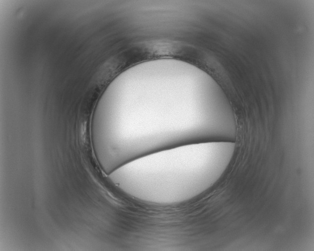 X0000066930406200603240914