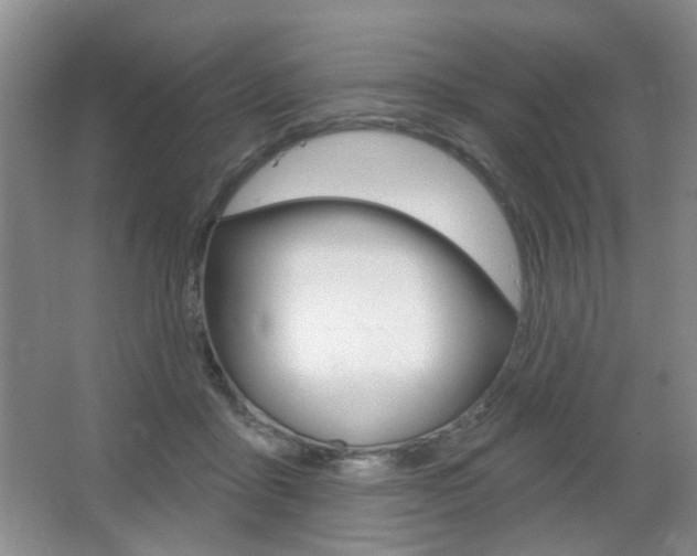 X0000066930411200603240914