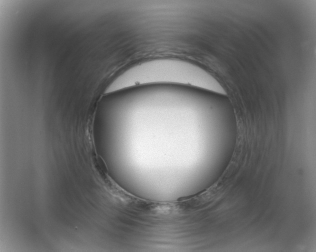 X0000066930415200603240914