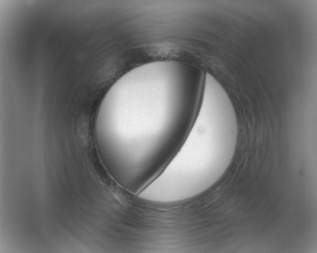 X0000066930416200603240914