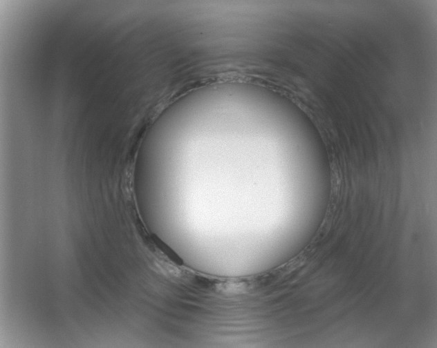 X0000066930419200603240914