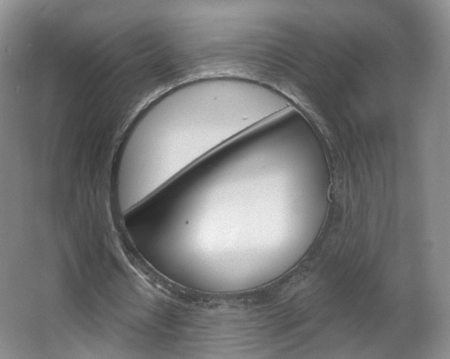 X0000066930434200603240913