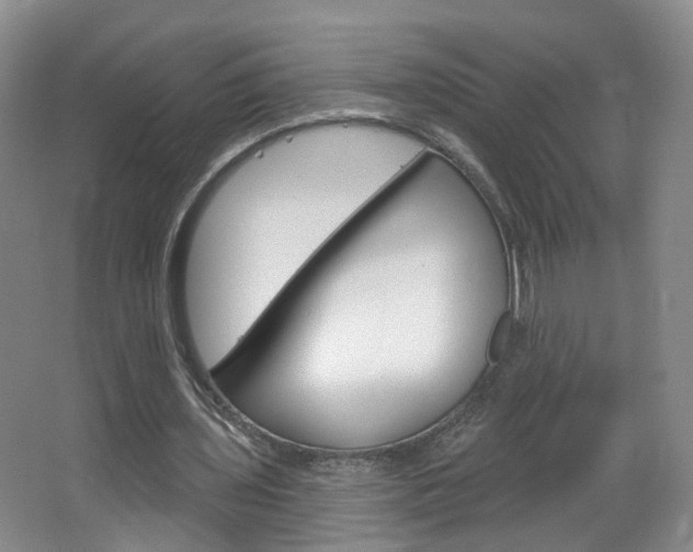 X0000066930435200603240913