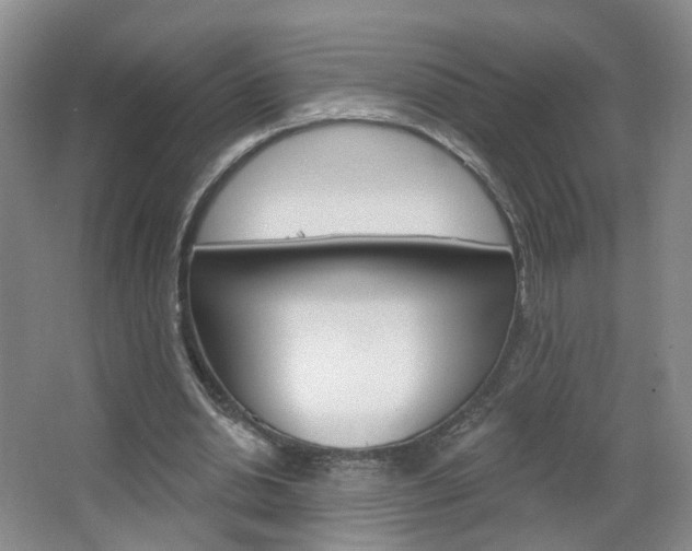 X0000066930438200603240913