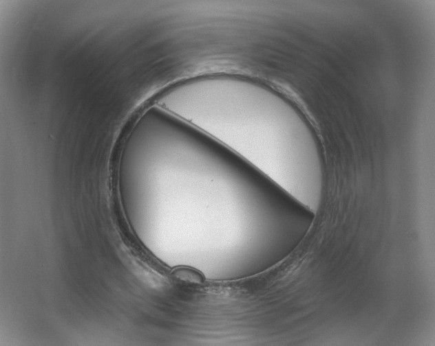 X0000066930439200603240913