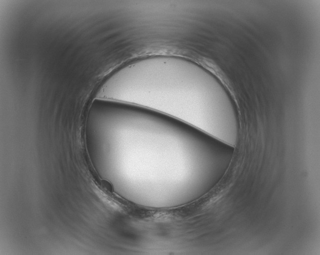 X0000066930441200603240913