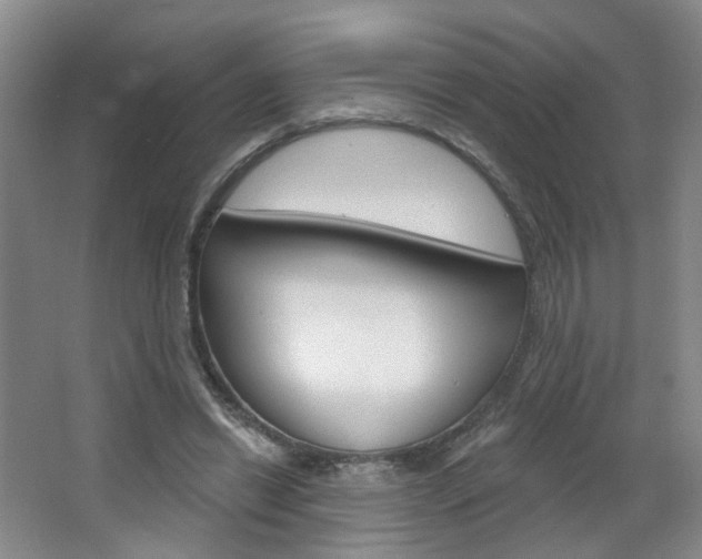 X0000066930446200603240913