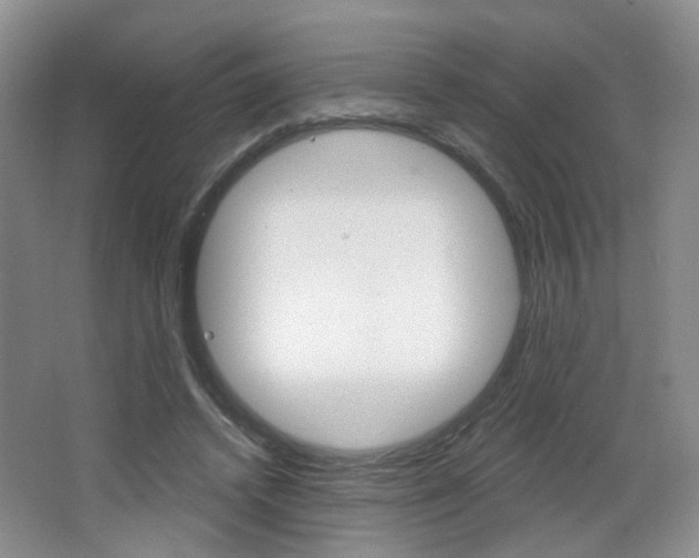 X0000066930448200603240913