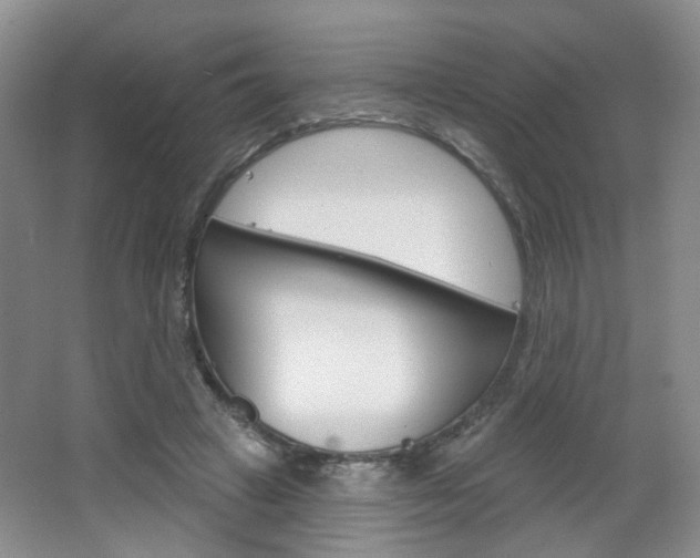 X0000066930449200603240913